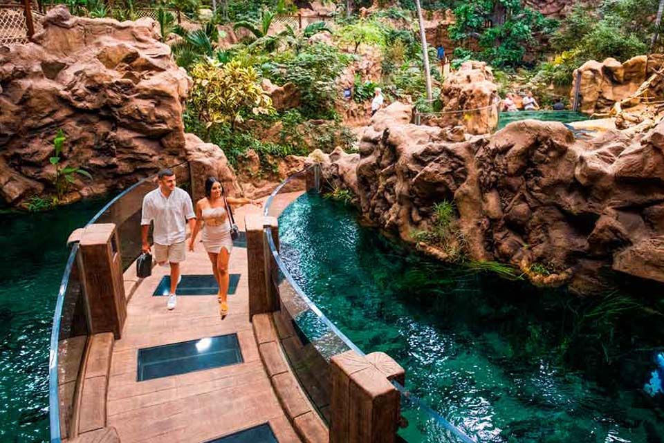 Jungle Zone Jungle Zone Poema del Mar Aquarium Gran Canaria