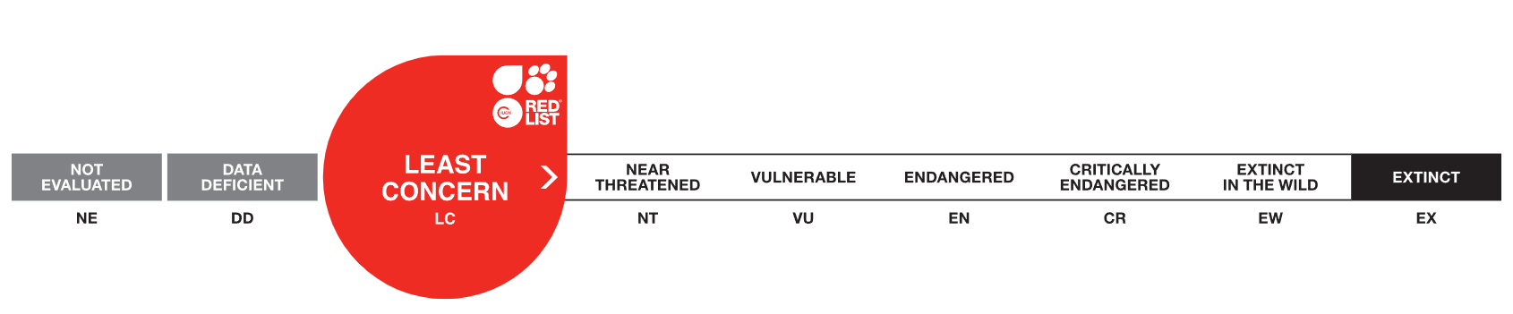 Paddlefish is listed as Vulnerable on the IUCN Red List