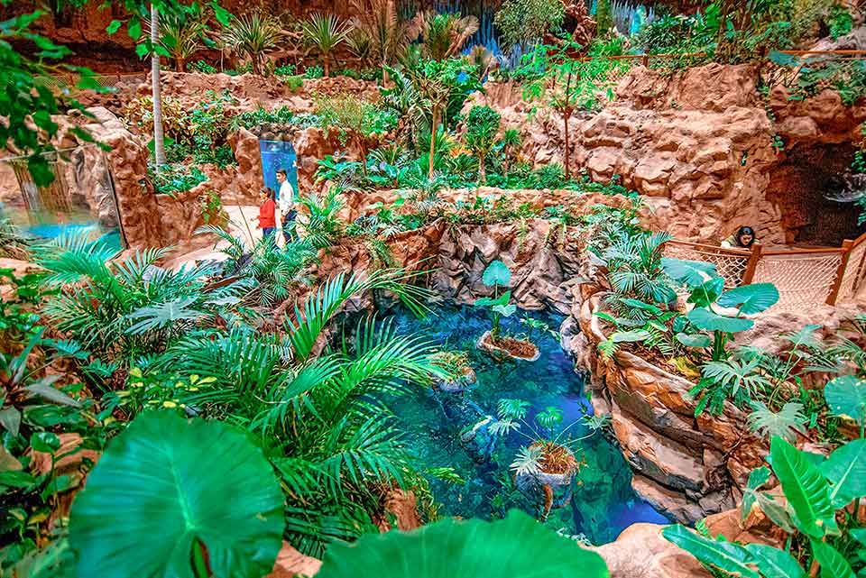 Jungla