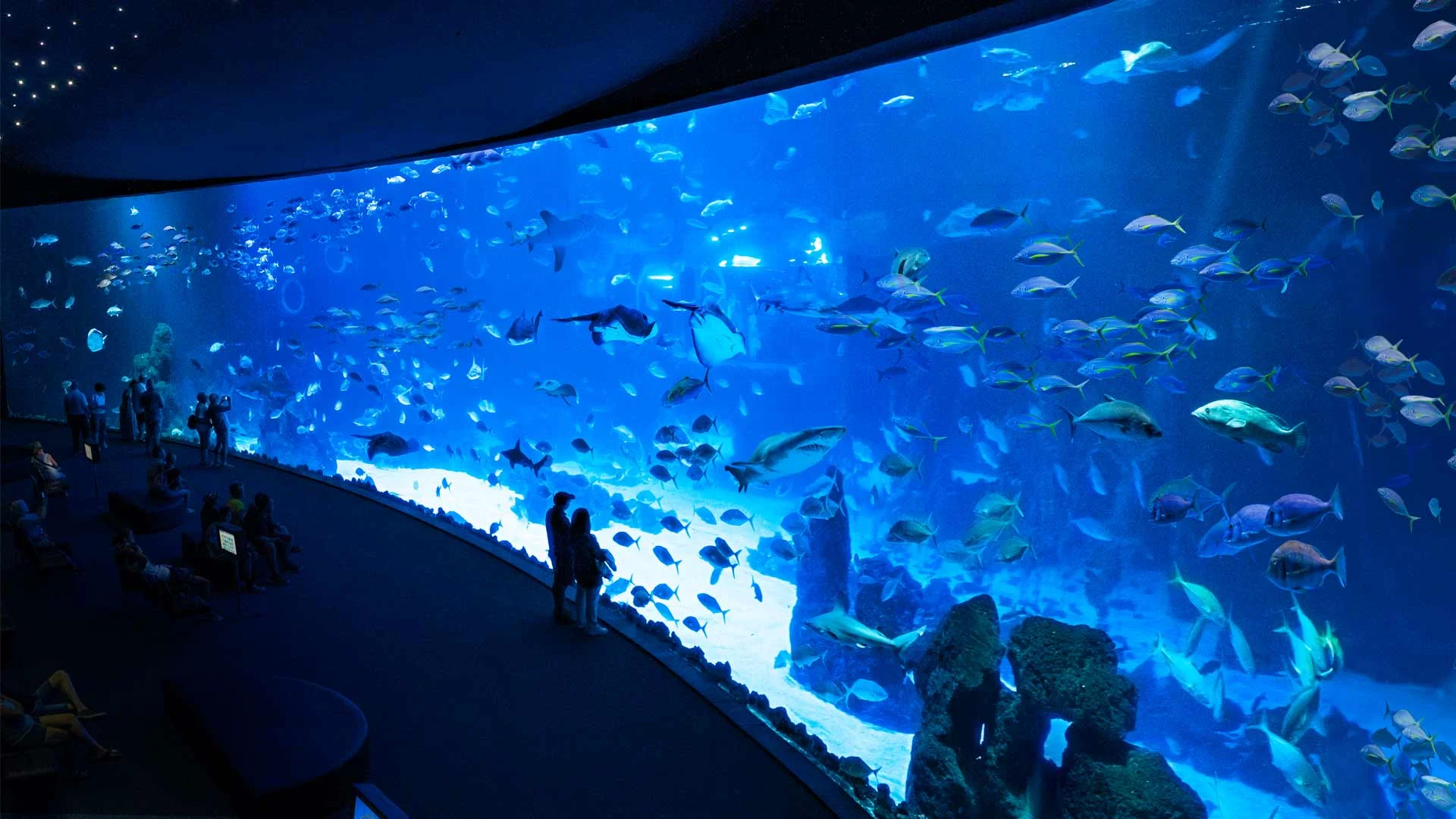 Acuario Poema del Mar