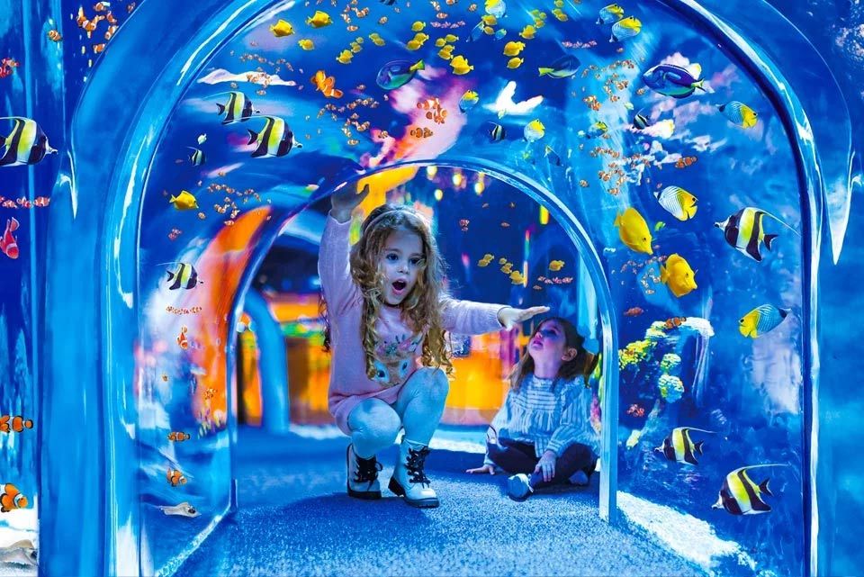 Tropical Zone Tropical Zone Poema del Mar Aquarium Gran Canaria