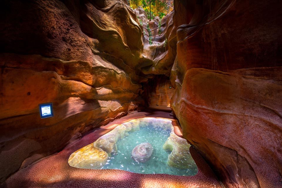 Zona Cenote