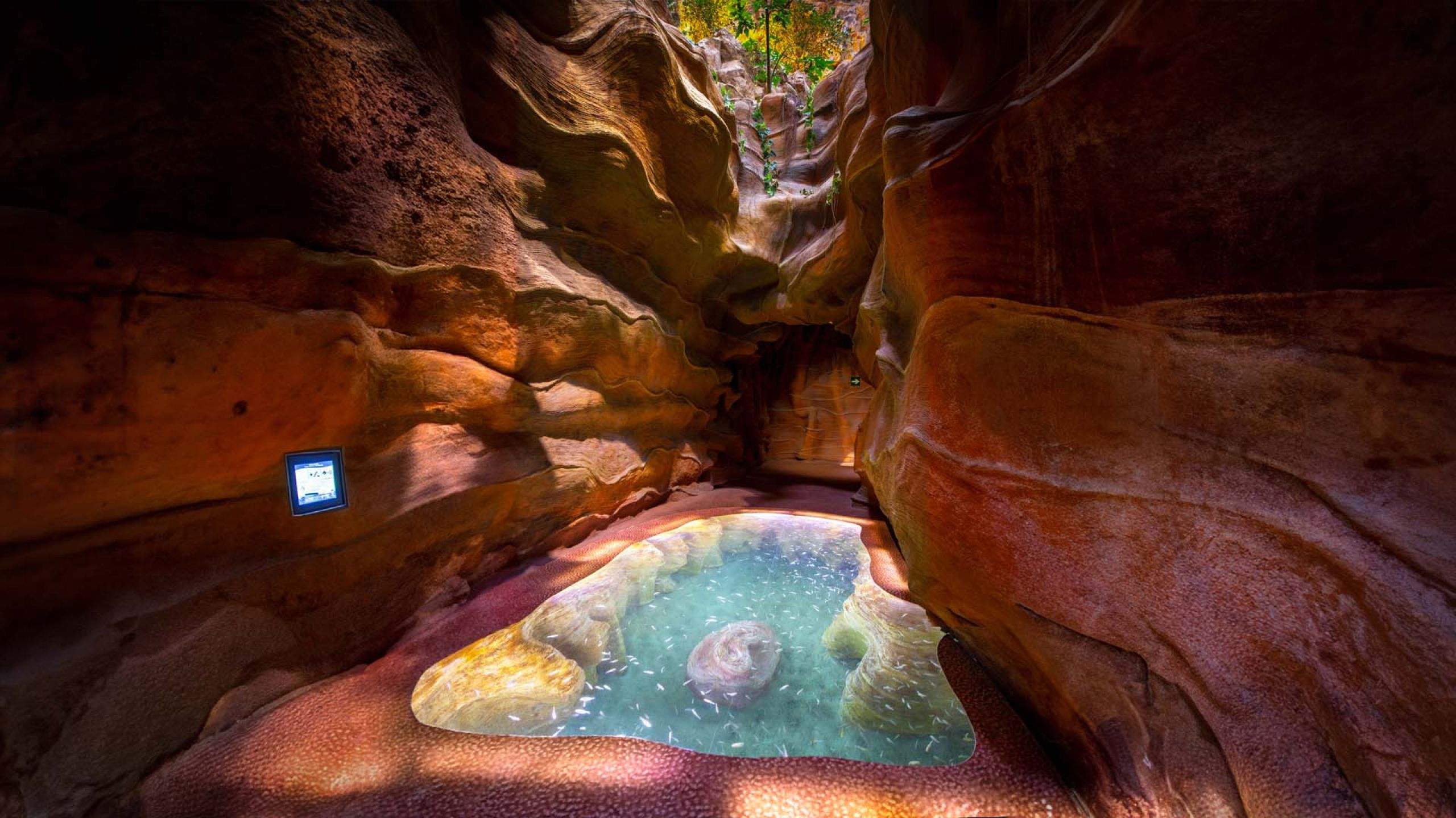 Zona Cenote